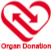 Organ Donation